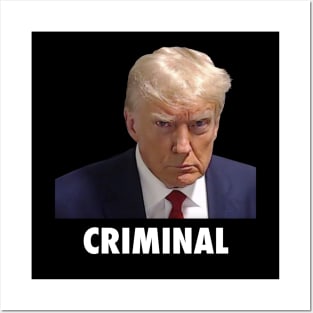 Donald Trump Criminal Posters and Art